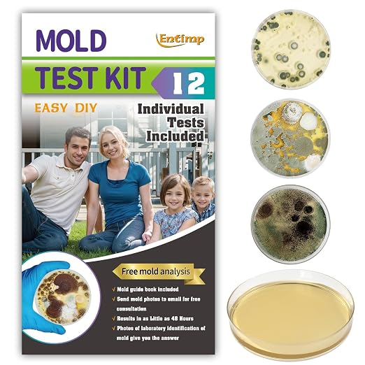 Mold Test Kit for Home Within 12 Individual Tests,DIY Detector at Home, Surface Mold,HVAC,Indoor Air Quality Testing Kits,Black Mold Testing,Includes Detailed Mold Identification Guide and Free Lab