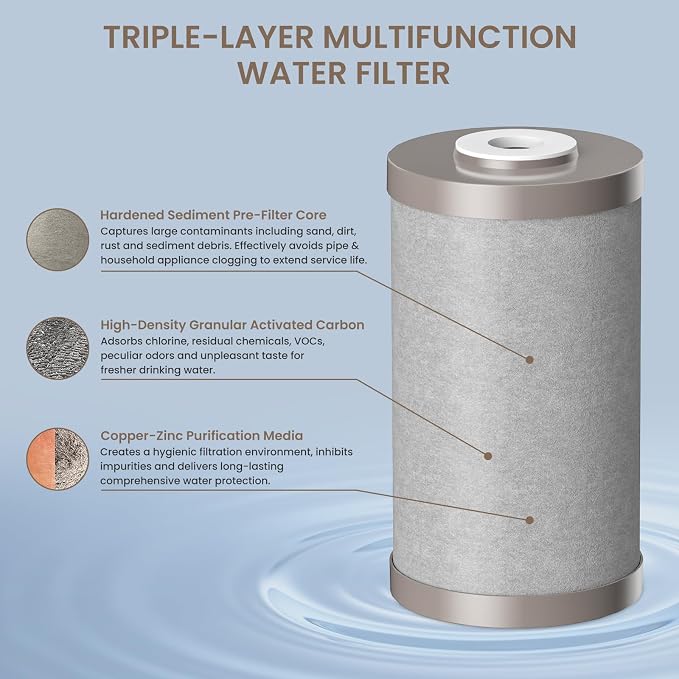 Fortitude V2 Series Sediment/Carbon/Zinc Triple Purpose Replacement Filter Compatible with the Aquasure Fortitude V2 Series Filtration System (AS-FS-25SCZ) (AS-WHF Series) (AS-HS Series) 2 Pack