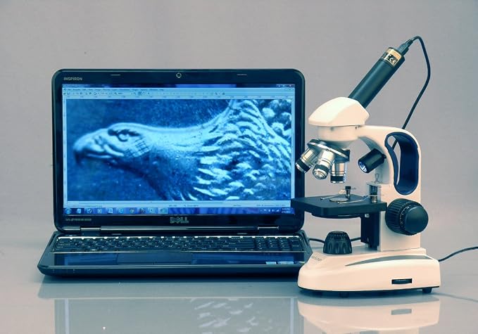 AmScope M158C-2L-PS25 Cordless Compound Monocular Microscope, WF10x and WF25x Eyepieces, 40x-1000x Magnification, Upper and Lower LED Illumination with Rheostat, Brightfield, Single-Lens Condenser, Coaxial Coarse and Fine Focus, Plain Stage, 110V or Ba...
