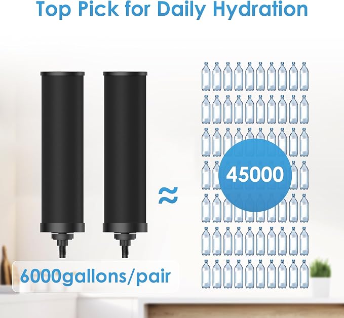 AQUA CREST TN-A Gravity Water Filter System, NSF/ANSI 42&372 Certified Black Carbon Filters, Reduce Lead and Chlorine, Stainless Steel Water System for Home, Camping, Emergencies, 2.25G