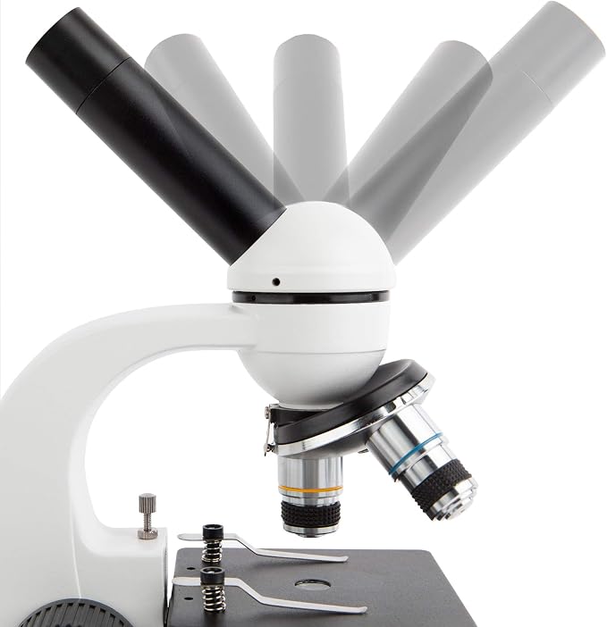 AmScope M158C-PS25-WM Cordless Compound Monocular Microscope, WF10x and WF25x Eyepieces, 40x-1000x Magnification, LED Illumination with Rheostat, Brightfield, Single-Lens Condenser, Coaxial Coarse and Fine Focus, Plain Stage, 110V or Battery-Powered, I...