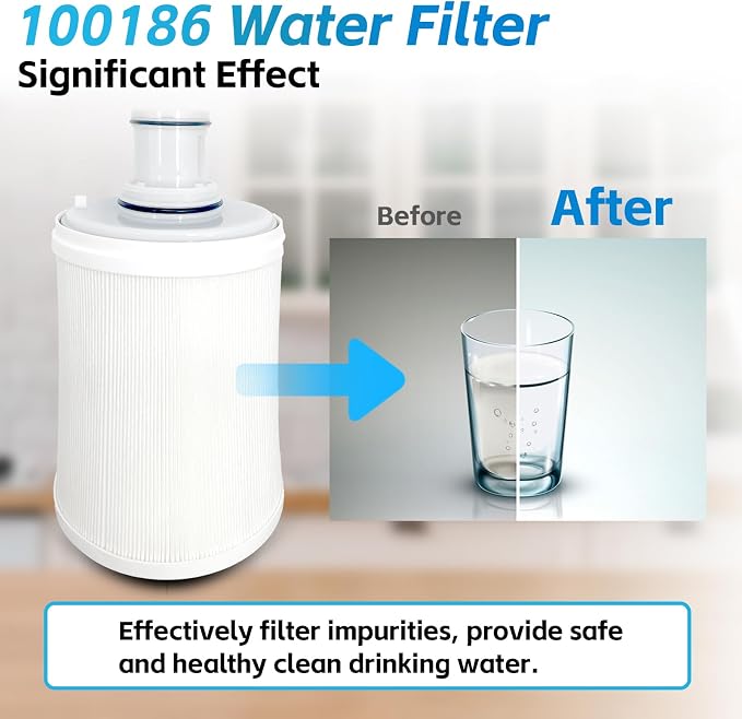 100186 Water Filter Replacement Compatible with Amway eSpring Water Filter Removes Odors & Chlorine, Retains Calcium & Magnesium, Comes With Instruction Manual, Lasts 1 Year or 1320Gal (5000L) Water
