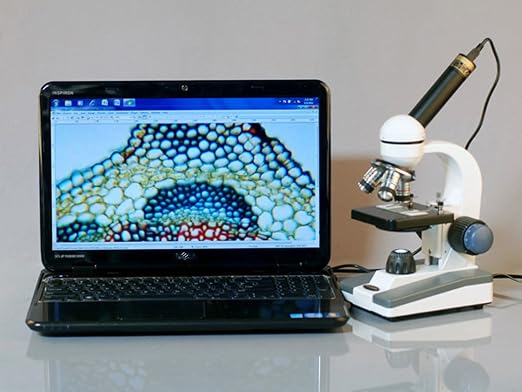 AmScope M150C-PB10-WM Compound Monocular Microscope, WF10x and WF25x Eyepieces, 40x-1000x Magnification, LED Illumination, Brightfield, Single-Lens Condenser, Coaxial Coarse and Fine Focus, Plain Stage, 110V, Includes 5 Blank Slides, 5 Prepared Slides,...