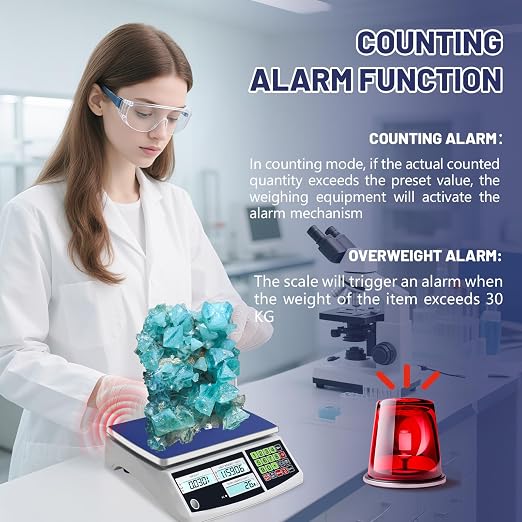 Counting Scale (30kg/66lb, 0.1g), g/kg/lb, Coin Scale, Precision Electronic Gram Scale for Parts and Coins,Digital Inventory Scale with Alarm Mode