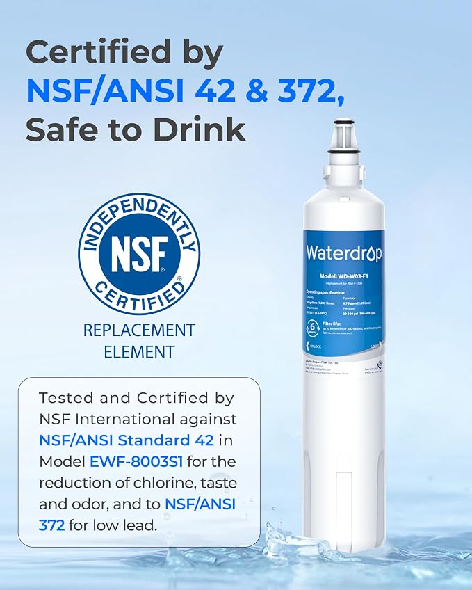 Waterdrop F-1000 Water Filter, Replacement for InSinkErator® F-1000 F-2000 Filter and AquaPure AP Easy C-Complete, Reduces Chlorine, Bad Taste & Odor, NSF/ANSI 42 Certified, 2 Pack
