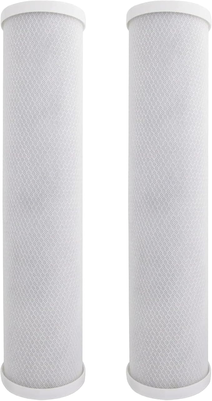 CFS – Water Filter Cartridge Compatible with CFDGD2501-20BB Models – Removes Bad Taste and Odor – Whole House Replacement Filter Cartridge – 1 Micron (2 Pack - Carbon Block Cartridge)