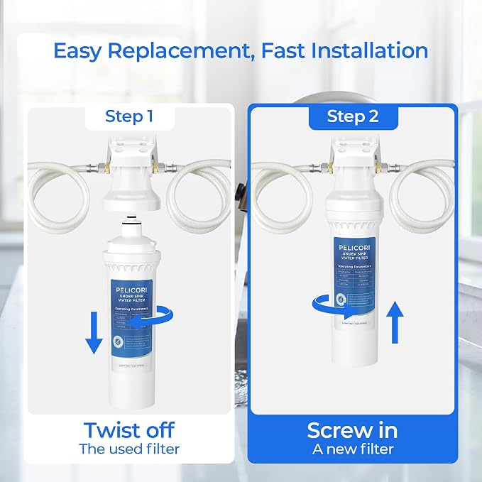 FI-CS-2500P Water Filter Replacement | Compatible with APEC FI-CS-2500 Water Filter, APEC Water Filtration System CS-2500, CS-2500P, 2 Pack