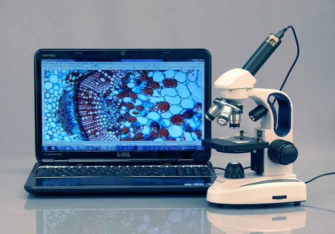 AmScope M158C-2L-PS25 Cordless Compound Monocular Microscope, WF10x and WF25x Eyepieces, 40x-1000x Magnification, Upper and Lower LED Illumination with Rheostat, Brightfield, Single-Lens Condenser, Coaxial Coarse and Fine Focus, Plain Stage, 110V or Ba...