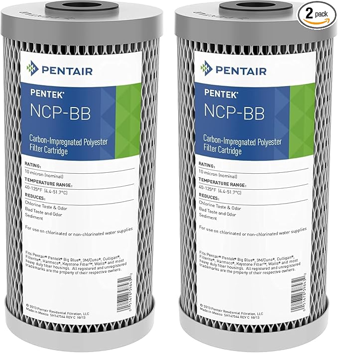 Pentair Pentek NCP-BB Big Blue Carbon Water Filter, 10-Inch, Whole House Pleated Carbon-Impregnated Polyester Cartridge, 10" x 4.5", 10 Micron, Sediment and Chlorine Reduction, Pack of 2