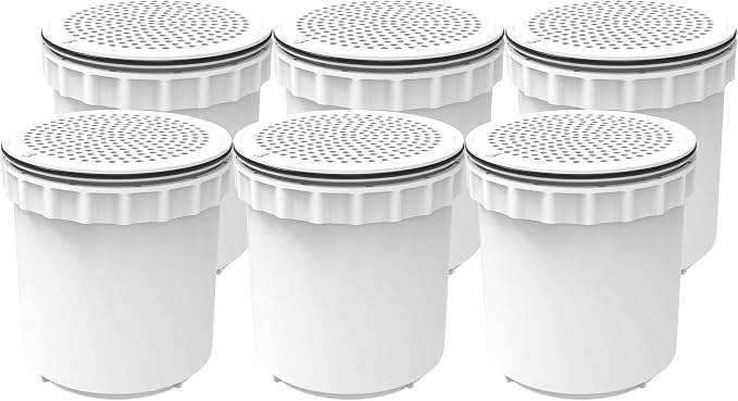 InvisiClean Water Pitcher Replacement Filter (6)