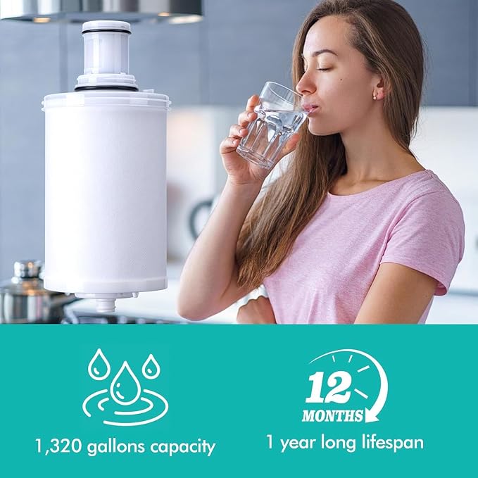 2 Pack 100186 Replacement Filter Cartridge Compatible with Amway espring Water Filter System, High-Precision Filter element, Retains Beneficial Minerals Such As Calcium and Magnesium