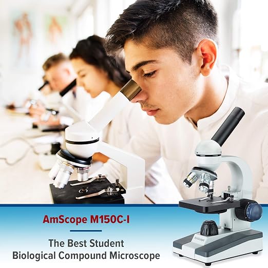 AmScope 40X-1000X Student Biological Compound Microscope with Sturdy All-Metal Framework, Optical Glass Lenses, Mechanical Stage and Coarse & Fine Focusing