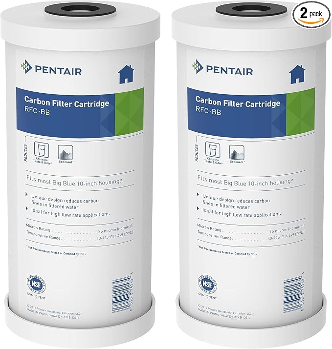 Pentair Pentek RFC-BB Big Blue Radial Flow Carbon Water Filter, 10-Inch, Whole House Granular Activated Carbon (GAC) Replacement Cartridge, 10" x 4.5", 25 Micron, Pack of 2