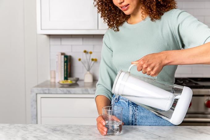 LifeStraw Home — Water Pitcher Replacement Pack, 1-Year Supply, for Protection Against Bacteria, Parasites, Microplastics, PFAS and 30+ contaminants