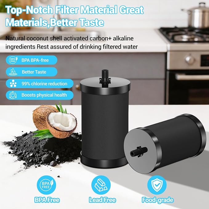 Alexapure 2387 Pro Water Filter Replacement, 3-Stage Filtration Reduces Chlorine & Sediment, Up to 5000 Gallons Long Lifespan, Fits Pure Well Water Filter System, Upgraded Version, Black (2 Pack)