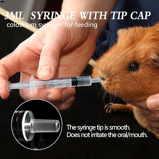 24 Pack 3ml Syringe with Cap and Luer Slip Tip, Sterile Syringe Individually Packaged for Labs, Liquid Measuring, Feeding Pets,Oil or Glue Applicator