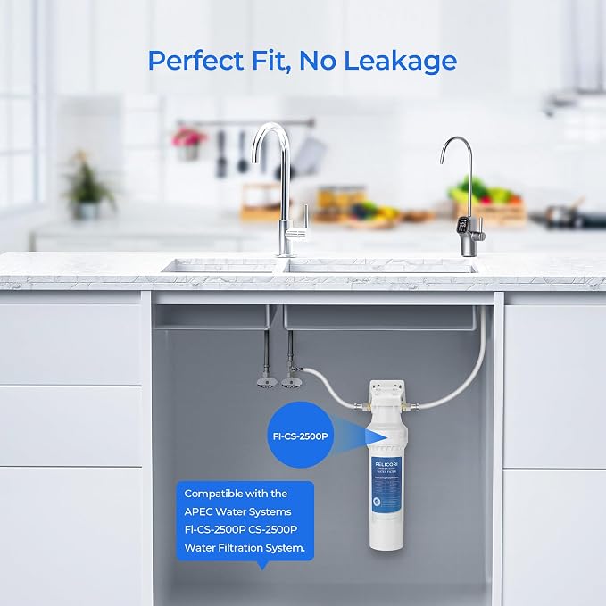 FI-CS-2500P Water Filter Replacement | Compatible with APEC FI-CS-2500 Water Filter, APEC Water Filtration System CS-2500, CS-2500P, 2 Pack