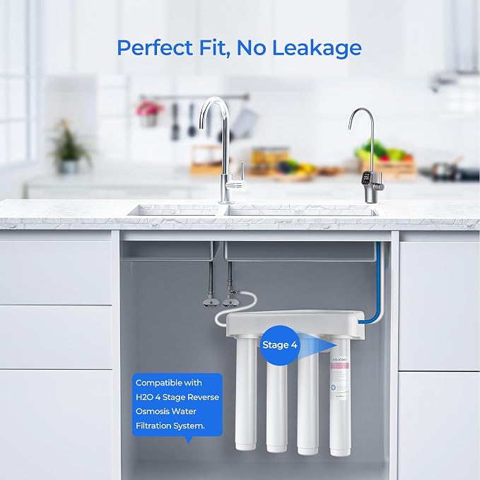 H2O Stage 4 Post Carbon Block CTO Replacement Filter, 1-Pack | Compatible with Pure Blue H2O Stage 4 Post CTO PB-TLRO4CB4T, 4 Stage PB‑TLRO4H50T Reverse Osmosis Water Filtration System