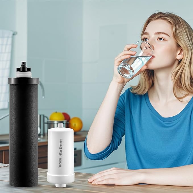 VEVOR Water Filters Replacement, Purification Elements, Replacement Filters, Gravity Water Filter System, Compatible with Most Brands, Pack of 4 (2 Activated Carbon Filter + 2 Defluorination Filter)