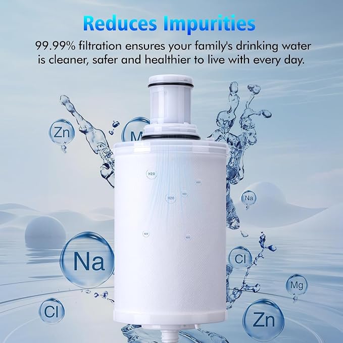 2 Pack 100186 Original Water Filter Replacement Cartridge Compatible with Amway Espring,3-in-1 Filter, Improving Water Purity