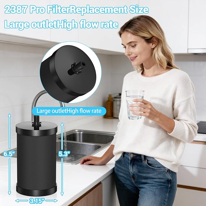 Alexapure 2387 Pro Water Filter Replacement, 3-Stage Filtration Reduces Chlorine & Sediment, Up to 5000 Gallons Long Lasting, Fits Pure Well Water Filter System, Upgraded Version, Black (4 Pack)