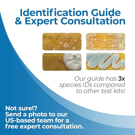 #1 Indoor Air Quality Test Kit by Detekt - (12) Screening Tests 6 Mold Tests + 6 Bacteria Tests - Test HVAC & Surfaces - DIY Mold Testing - Species Identification Guide & Consultation - Made in USA