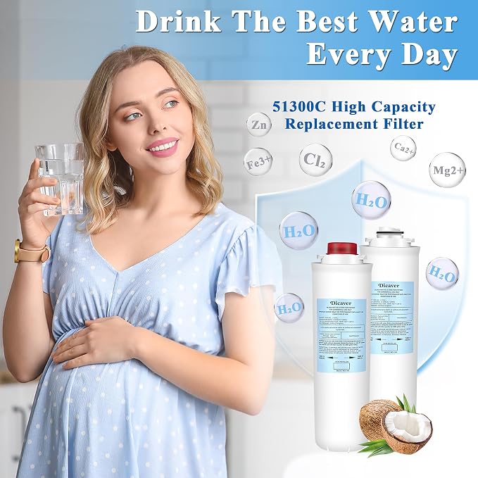 51300C Filters, Replacement for Elkay 51300C EWF3000 Filter By NSF/ANSI 42 Certified,Compatible with Ezh2o Filter Replacement Bottle Stations, High Capacity 3000 Gallon (No Chip) 4 Packs