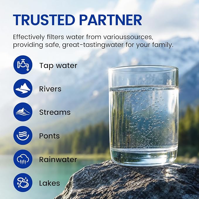 Purewell PF-2 Black 2-Stage Purification Elements, 2 Pack, K Series | Replacement Filter for ProOne® and Berlkey®, Compatible with ProOne® Big+ or Berlkey® Big+, Gravity Water Filter System