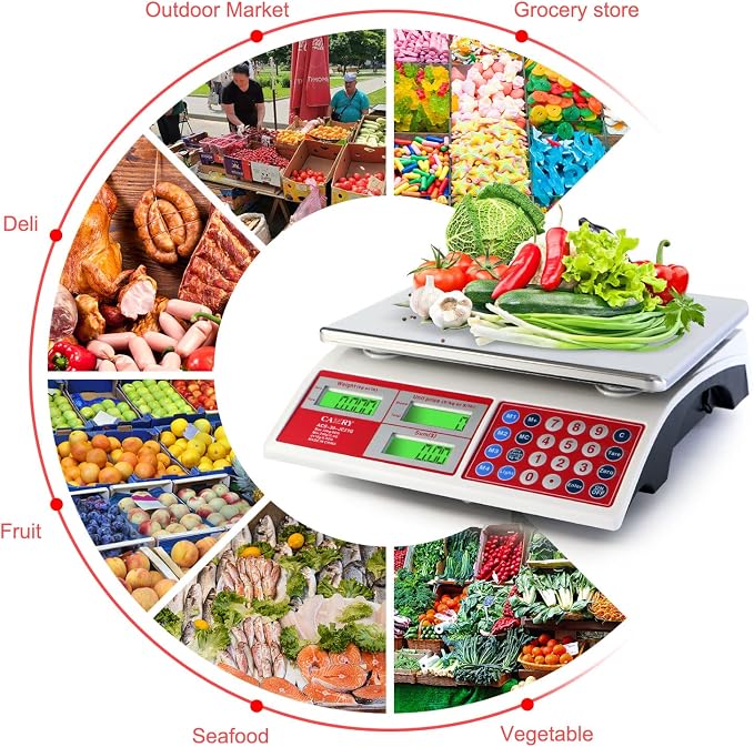 CAMRY Commercial Price Computing Scale, 66lb/30kg, Dual LCD | Stainless Steel Platform; Green Backlight; Battery Powered; KG/LB Conversion; For Deli and Farmers Market