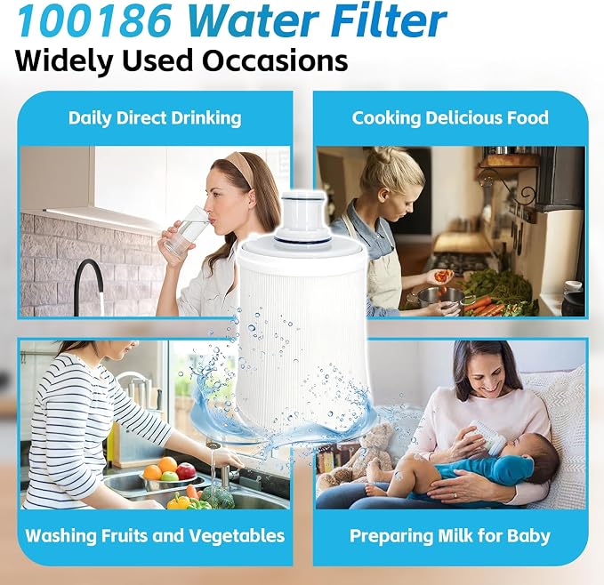 100186 Water Filter Replacement Compatible with Amway eSpring Water Filter Removes Odors & Chlorine, Retains Calcium & Magnesium, Comes With Instruction Manual, Lasts 1 Year or 1320Gal (5000L) Water