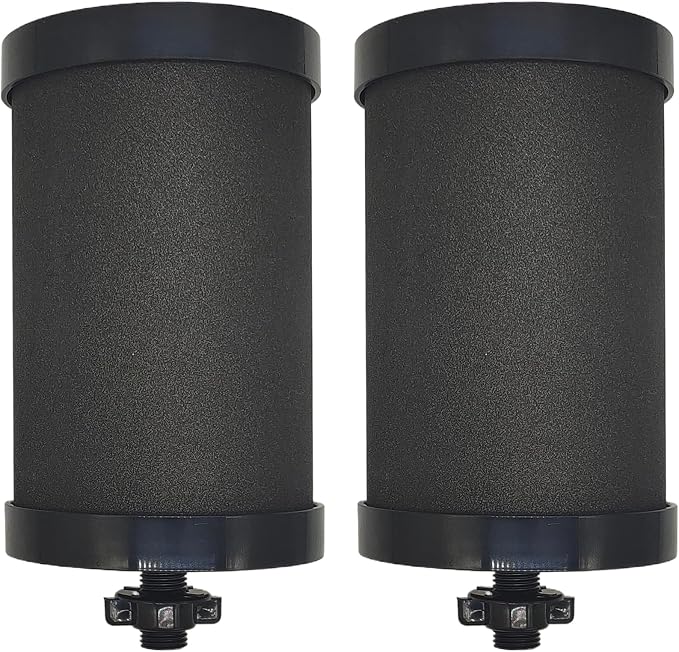 2387 Filter for Alexapure Water Filter Replacement,2 Pack Black | Compatible with Alexapure Pro Water Filtration System - 5,000 Gallon Gravity Black Carbon Block Replacement Filters