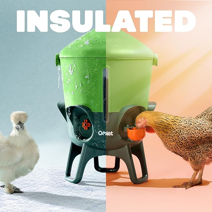 Omlet Insulated Chicken Waterer, 3 Gallon | Stay-Clean Automatic Water Dispenser for Chickens | BPA-Free | Anti-Roost Domed Lid | Includes 5 Cups & Nipples | Eglu Green