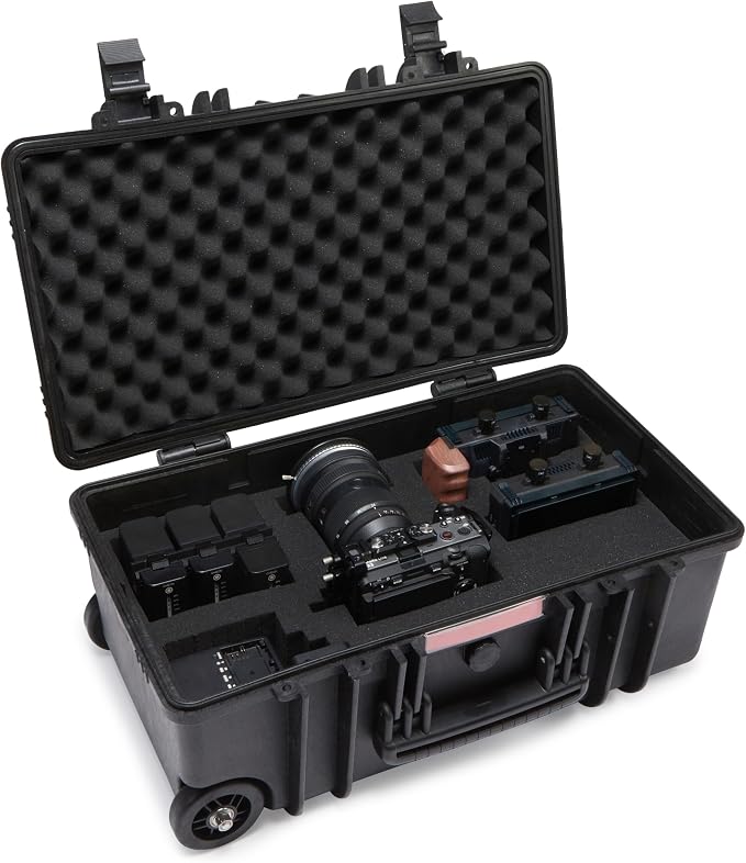 Amazon Basics Hard Protective Camera Case with Wheels, Large, Black, 22"L x 14"W x 9.8"H