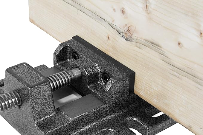 WEN 4206T 2.3-Amp 8-Inch 5-Speed Cast Iron Benchtop Drill Press & DPA423 3 in. Drill Press Vise
