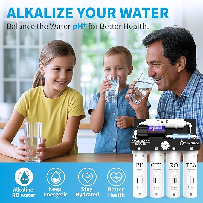 WINGSOL Replacement Filter Cartridge for RO Water Filter System Compatibel with: WS-QCJ-6RO (F-ALK)(F-Dual), ALK