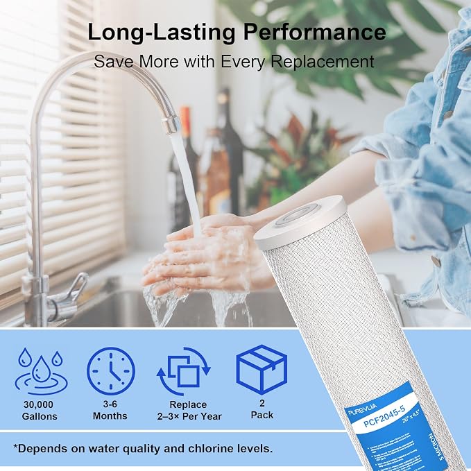 5 Micron 20" x 4.5" Whole House CTO Coconut Shell Activated Carbon Water Filter Replacement Cartridge, Compatible with WCBCFF20, CB-45-2005, CB-BB-20, FC25B, CTO20BB, 2-Pack