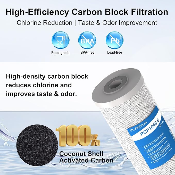 5 Micron 10" x 4.5" Whole House CTO Coconut Shell Activated Carbon Water Filter Replacement Cartridge, Compatible with WFHDC8001, FXHTC, GXWH40L, GXWH35F, CB-BB-10, FC15B, CTO10BB, 2-Pack