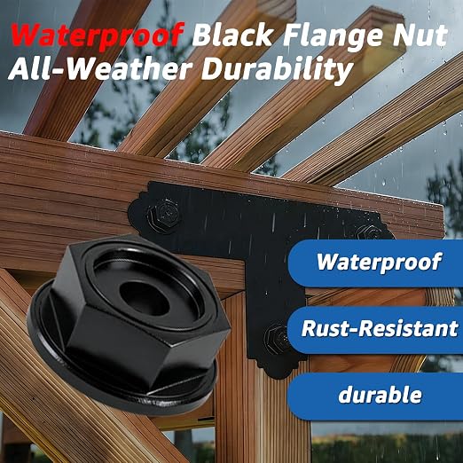 STN22-R24 Outdoor Accents Black Hex-Head Washer, Hex-Head Washer Black Rust Resistant Coated for Outdoor Pergolas, Decks, Fence Gates Compatible Structural Wood Screws