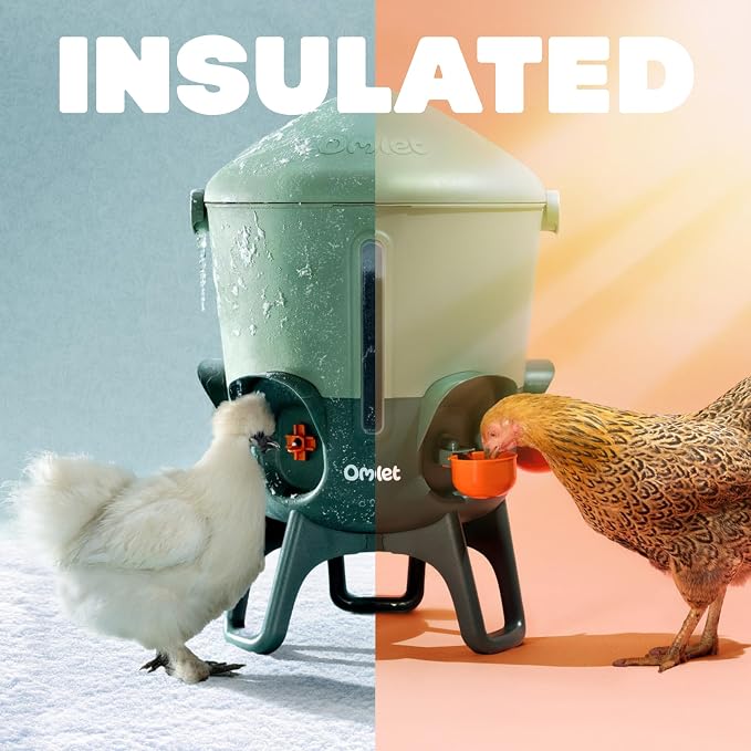 Omlet Insulated Chicken Waterer, 3 Gallon | Stay-Clean Automatic Water Dispenser for Chickens | BPA-Free | Anti-Roost Domed Lid | Includes 5 Cups & Nipples | Sage Green