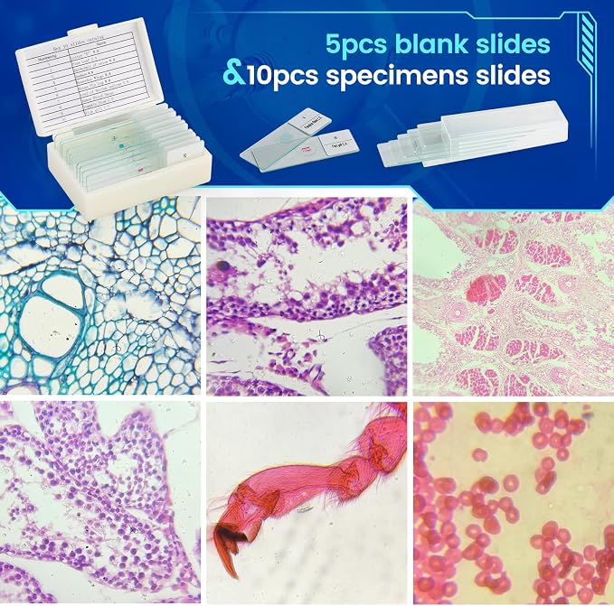 Binocular Microscope 40X-1000X LED Lighting for Kids Students Adults School Lab Home Education with Microscope Slides Set,Phone Adapter