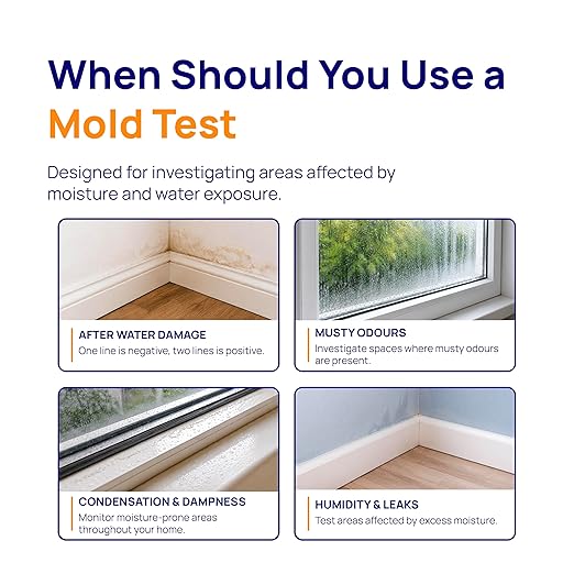 Healthful Home 5-Minute Mold Test Kit - Easy At-Home Mold Detection for Aspergillus/Penicillium & Stachybotrys, DIY Testing for Indoor Air & Moist Areas, No Lab Required, Includes Expert Consultation