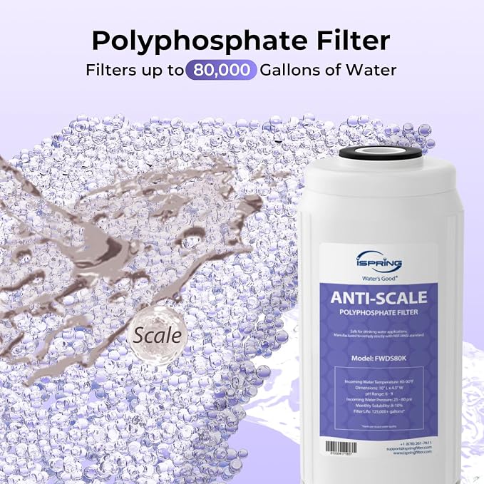 iSpring F2WGB21BDS Whole House 4.5"x10" Water Filtration CTO Carbon Block and Anti-Scale Polyfilter Water Filter Replacement Cartridge Pack Set for WGB21B-DS