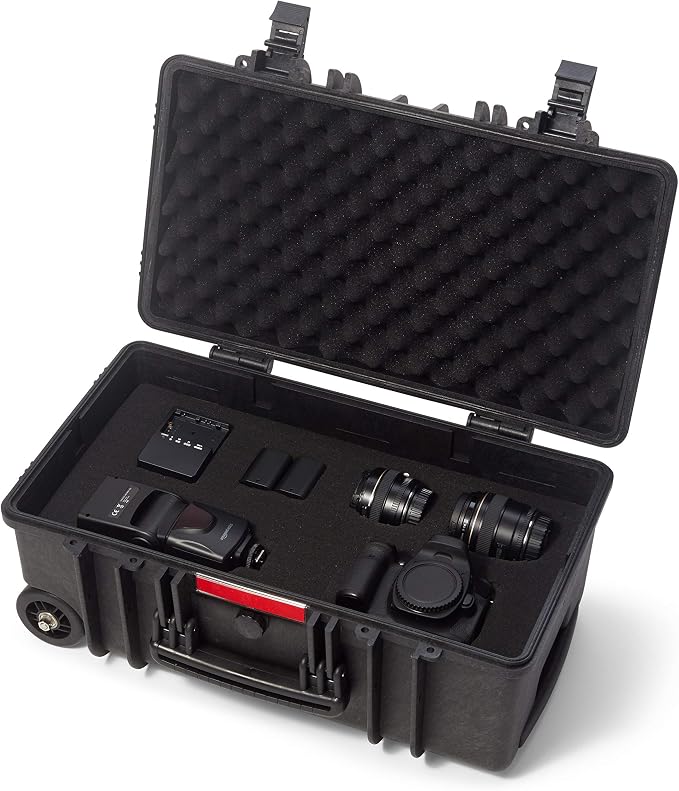 Amazon Basics Hard Protective Camera Case with Wheels, Large, Black, 22"L x 14"W x 9.8"H