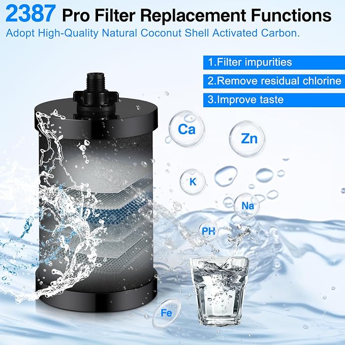 2387 Pro Filter Replacement, NSF Certified for Alexapure 2387 Pro Water Filter, 5,000 Gallon Throughput Capacity Compatible with Alexapure Pro Water Filtration System, 4 Pack Black