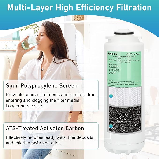 ECF3000 Filters, Compatible with Elkay ezH2O WaterSentry Plus Replacement, High Capacity 3000 Gallons for Built-in Elkay Water Dispenser 51300C ECF3000 ERF750 Filters Replacement (No Chip) 3 Packs