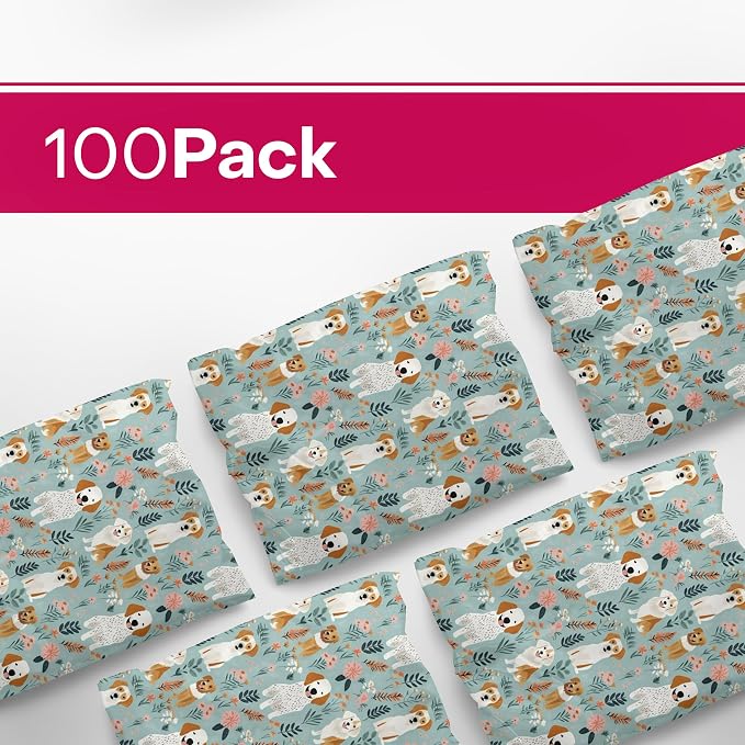 Package Mint Poly Mailers Cute Shipping Bags for Clothing, Plastic Mailing Bags for Small Business Self Seal, Non-Padded Waterproof Packaging Envelope, 10x13 Multi-Color, 100 Pack