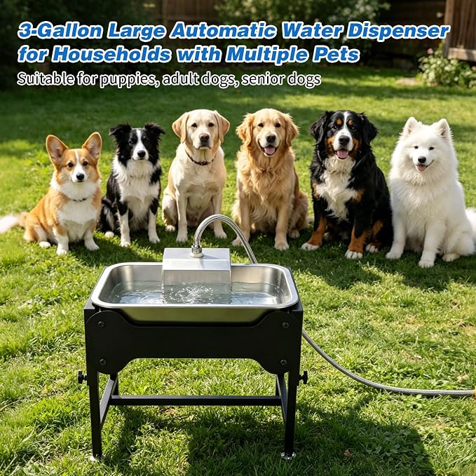 3 Gallons Elevated Automatic Water Dispenser for Dogs,4 Height Adjustable Outside Dog Water Bowl,Stainless Steel Dog Self Watering Bowl Livestock