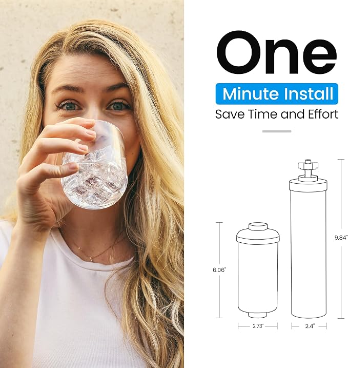 Filterlogic Gravity Water Filter Replacement for Berkey® BB9-2® Filter | Replacement for Berkey®, Purewell®, ProOne®, Alexapure®, BB9-2® Black Filter & PF-2® Fluoride Filters, NSF/ANSI 372 Standard