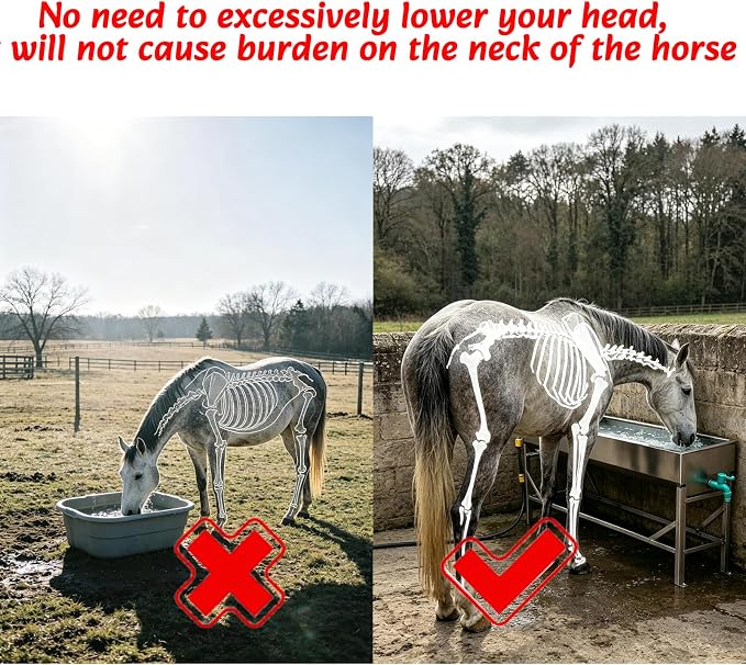 Metal Stand for Automatic Livestock Water Trough Larger Automatic Waterer | 12 Gal Stainless Steel Larger Automatic Livestock Waterer with Stand for Goat Cattle Horse Hog Pigs Dog
