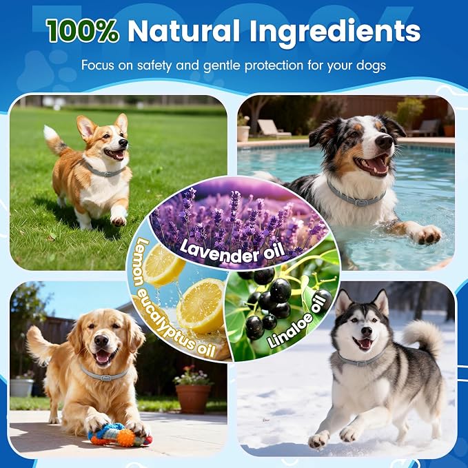 KOOSA Flea and Tick Collar for Dogs, 5 Packs Flea Collar for Dogs with Natural Essential Oils, Waterproof & Adjustable Flea and Tick Prevention Collar for Small Medium Large Dogs & Puppies, Grey